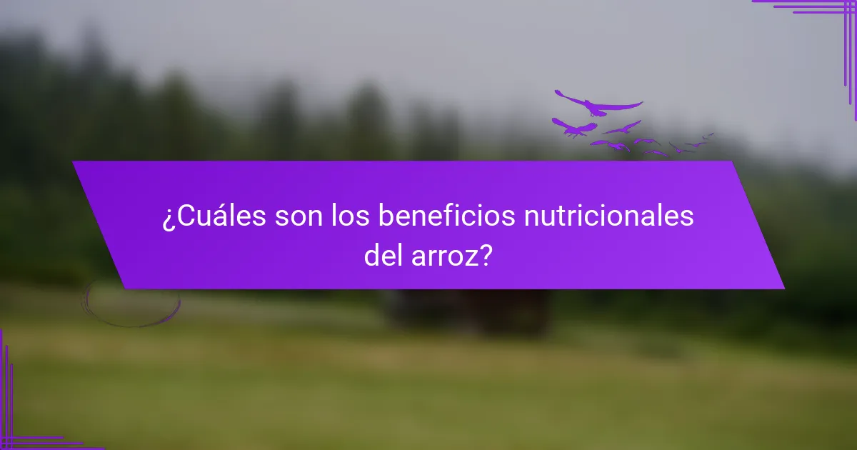 ¿Cuáles son los beneficios nutricionales del arroz?