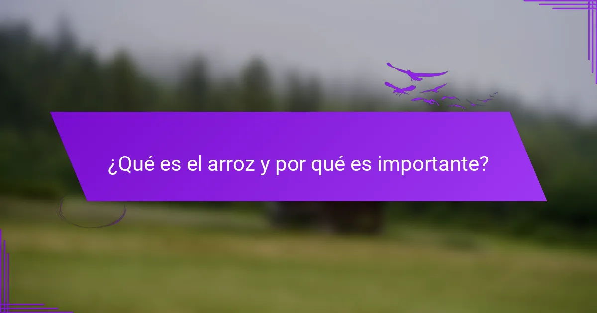 ¿Qué es el arroz y por qué es importante?
